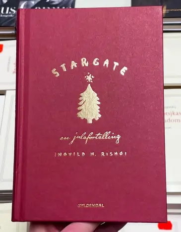 Stragate en julefortelling bok Inguild H Rishoi